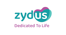 custom website design company in pune